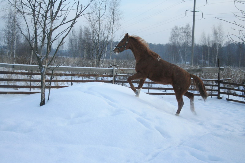 IMG_1586.jpg1.jpg"%20height="533"%20width="800